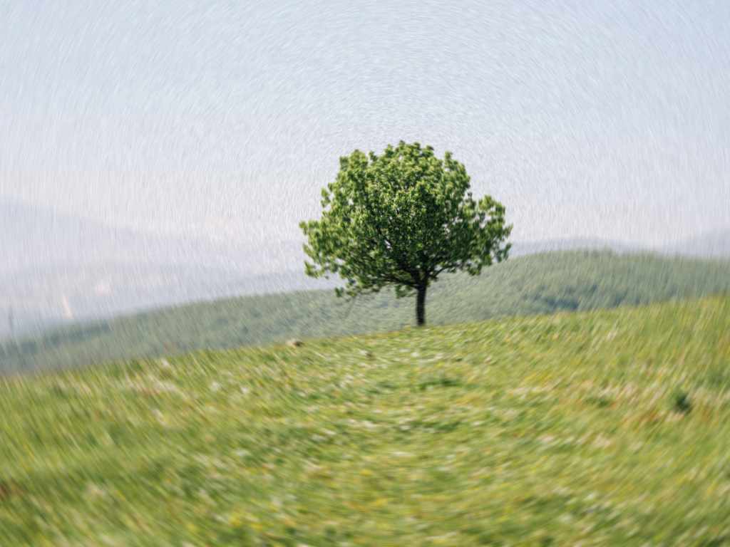 Creative Reflections: Issue #19