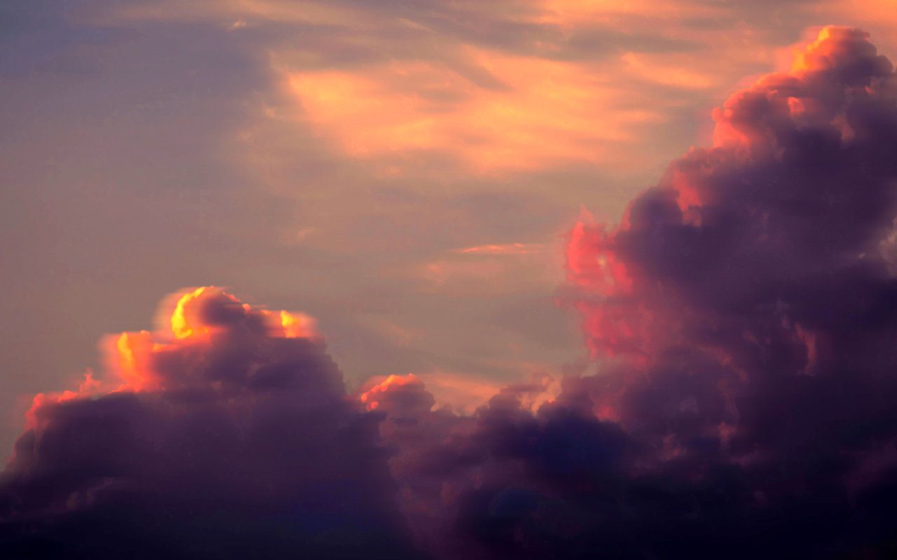Creative Reflections: Issue #20