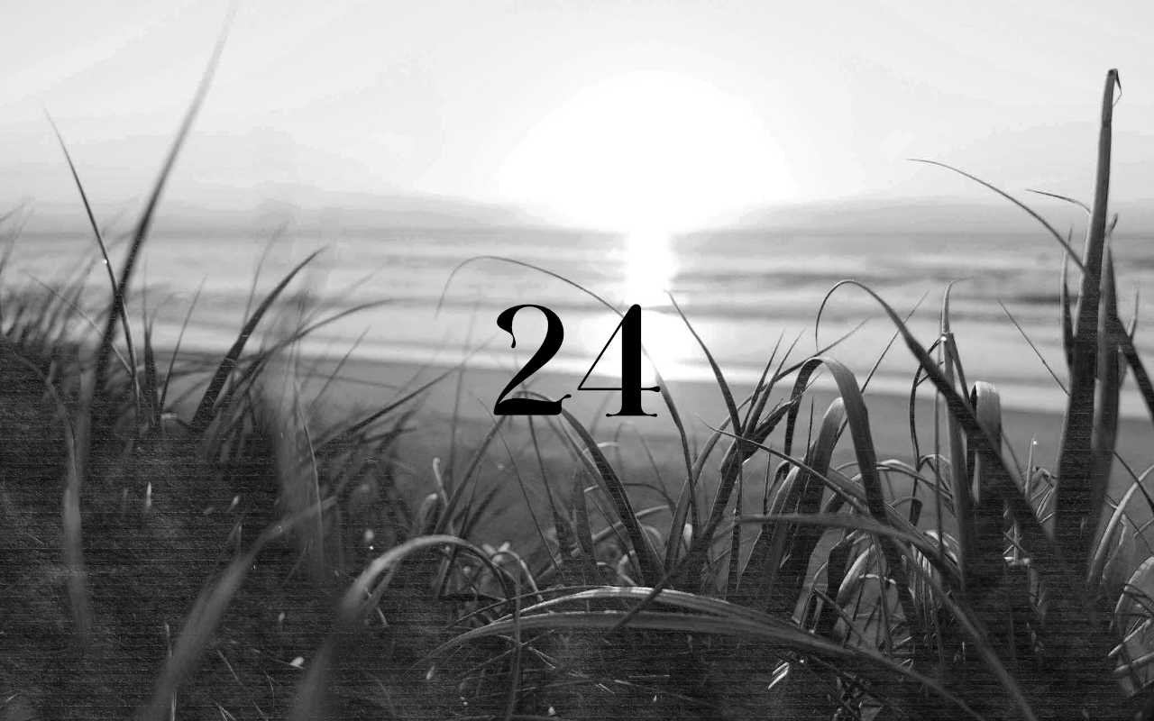 Creative Reflections: Weekly Edition – Issue #24